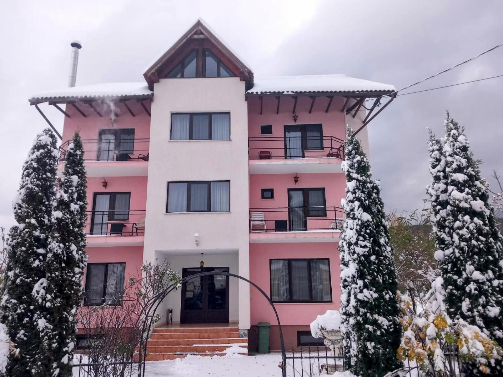 Pensiunea Emma Simbata de Sus Exterior photo