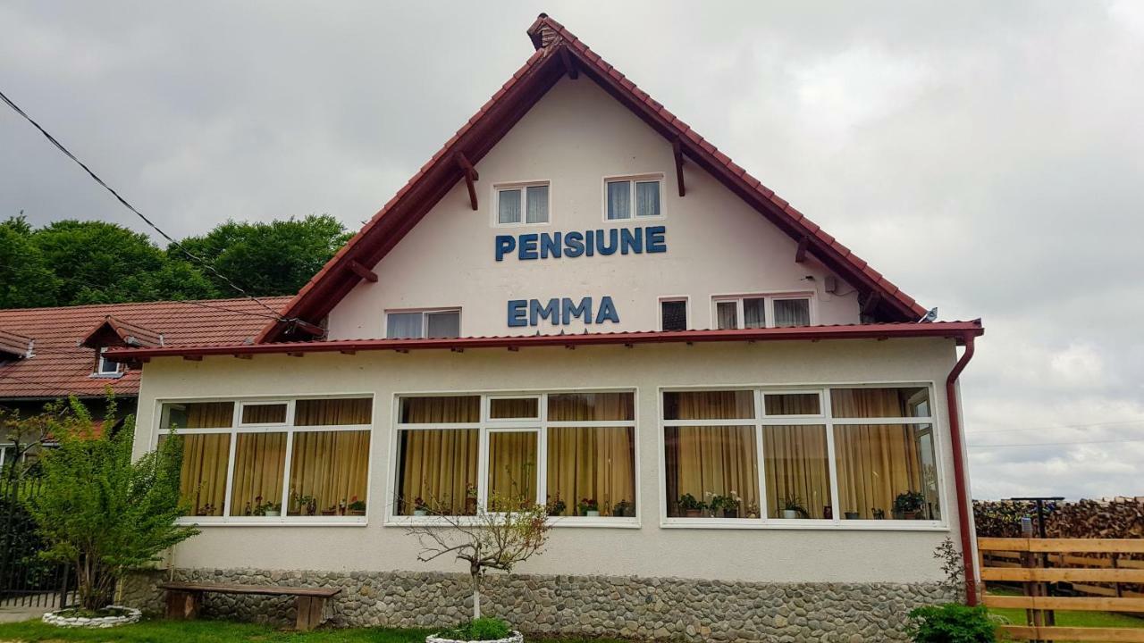 Pensiunea Emma Simbata de Sus Exterior photo